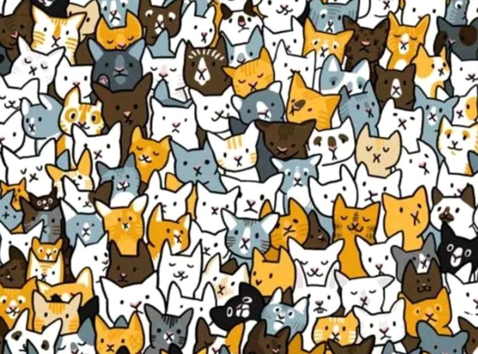 Iluzia optică care a hipnotizat pe toată lumea în 2024! Poți să găsești "intrusul" din imagine în mai puțin de 23 de secunde?