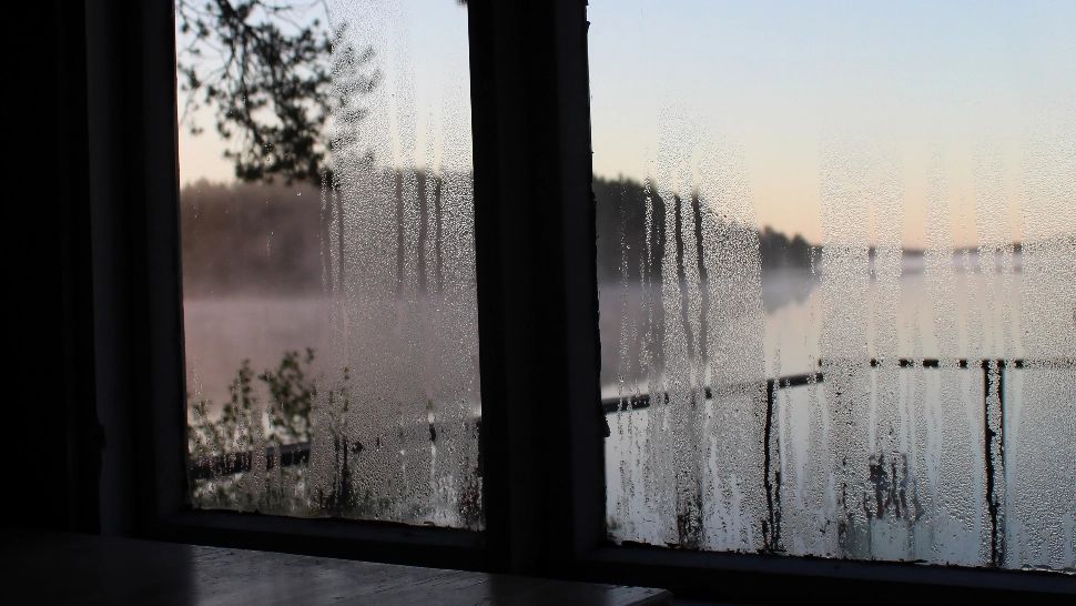 3 metode eficiente care te ajută să scapi de umiditatea din casă. Îți păstrează casa curată iar sănătatea nu-ți va fi afectată