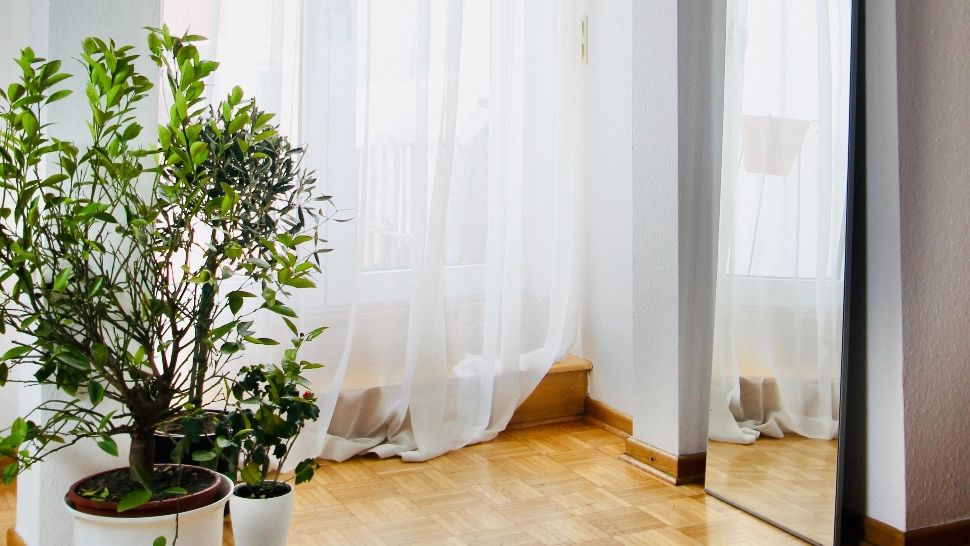 Cum să ai perdele albe în doar câteva minute, folosind doar două ingrediente din bucătărie - Trucuri incredibile