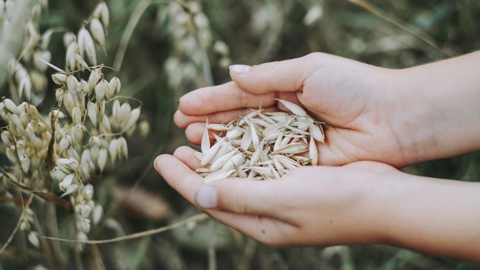 Război în Ucraina, ziua 1027. Zelenski propune livrarea de cereale cu caracter umanitar - LIVE TEXT