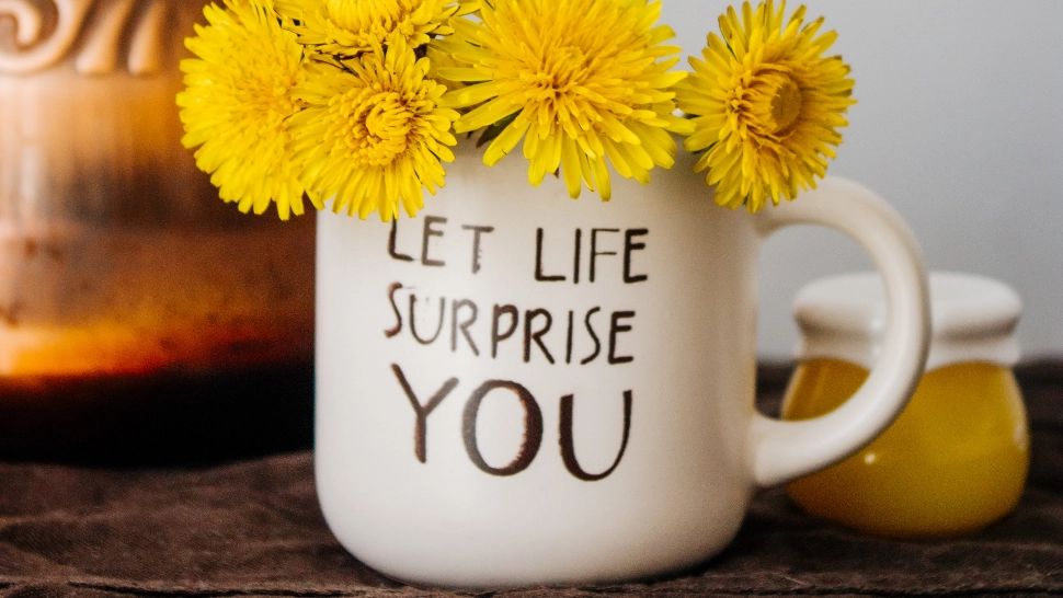 Cum poți face din căminul tău o oază de pace și bunăstare. Vei deborda de energie pozitivă dacă urmezi acești 10 pași