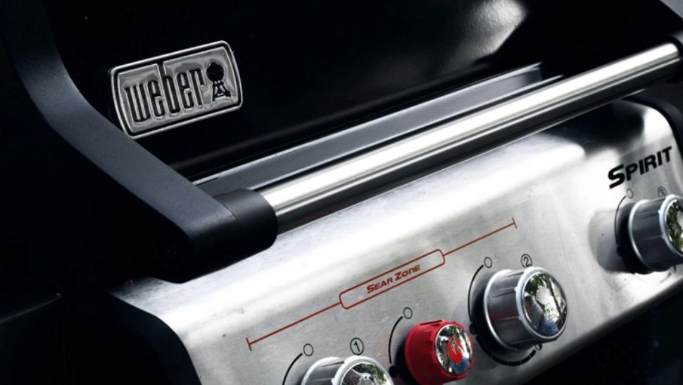 Alegerea grătarului: Gaz, cărbuni sau electric?