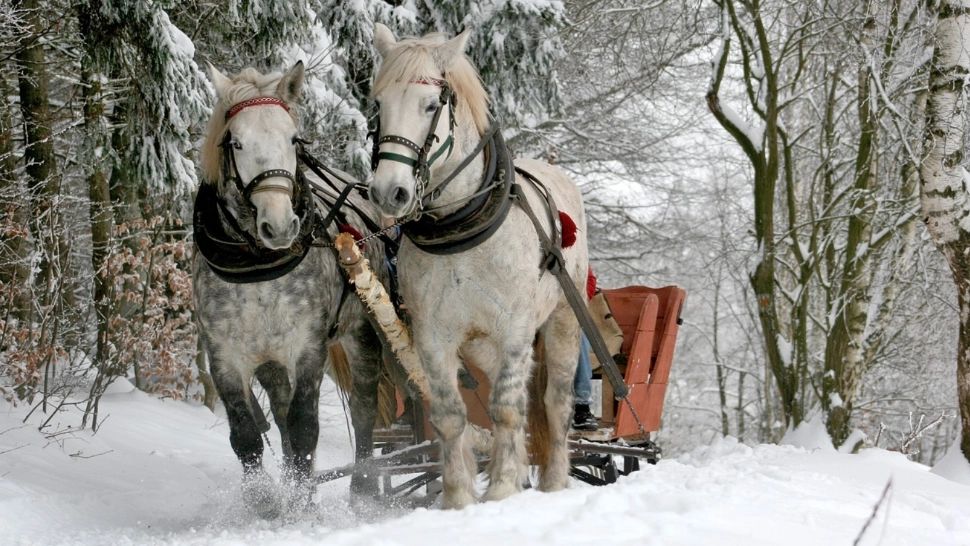 ALERTĂ METEO. Cod galben de ninsori viscolite: rafale de până la 110 km/h, revine gerul. HARTA actualizată