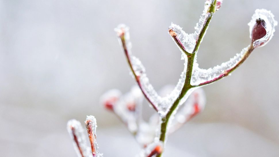 Minus 24 grade Celsius la Întorsura Buzăului, marți dimineață. Nou record de frig în România