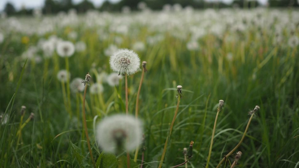 3 zodii își vor împlini visele la începutul acestui an! Cele mai mari dorințe ale lor devin realitate