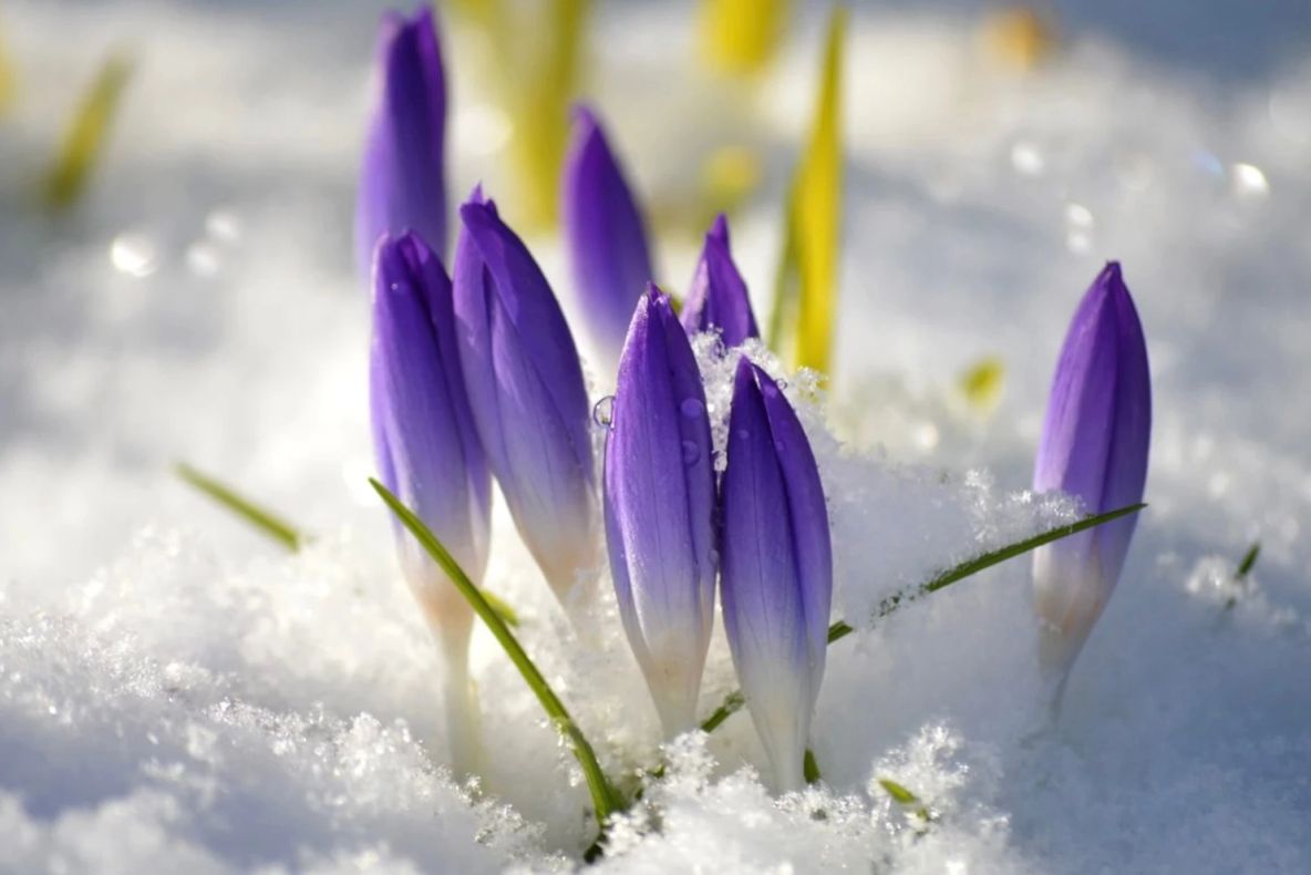 Prognoza meteo pe luna februarie: temperaturi și fenomene anormale, în următoarele 4 săptămâni