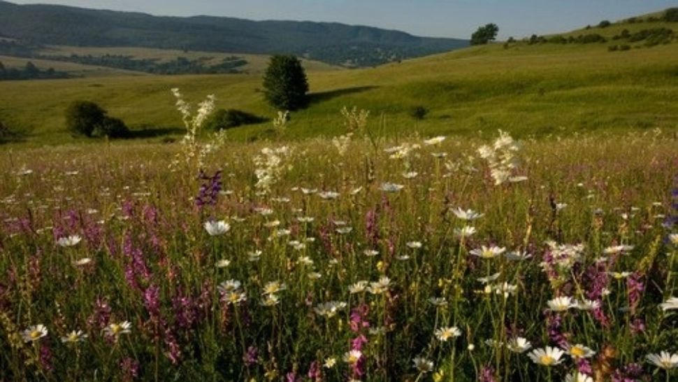 Un loc din România a ajuns în top 10 destinații turistice din lume în 2024. Apare în recomandările unei reviste prestigioase