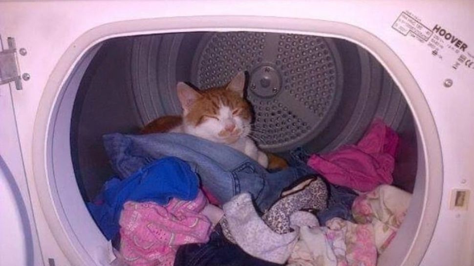 Putem folosi mașina de spălat sau aspiratorul smart în zilele de sărbătoare marcate în calendar cu cruce. Ce spun preoții?  