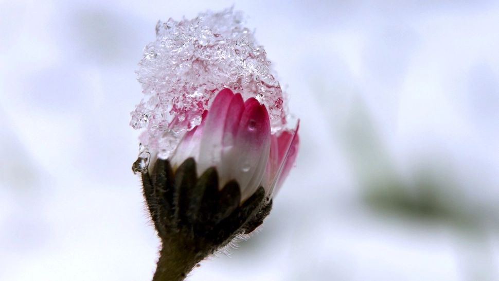 Prognoza Accuweather. Februarie istoric în România: temperaturi și fenomene meteo anormale în toată țara