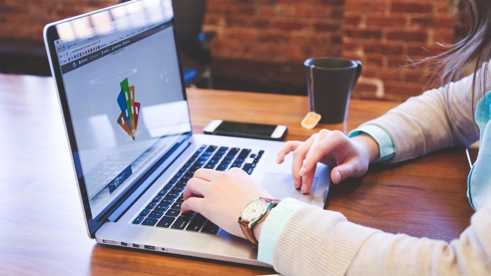 Site-urile care vând referate sau pun la dispoziție lucrări științifice vor fi închise. Lovitură pentru elevi și studenți. Părinții, revoltați