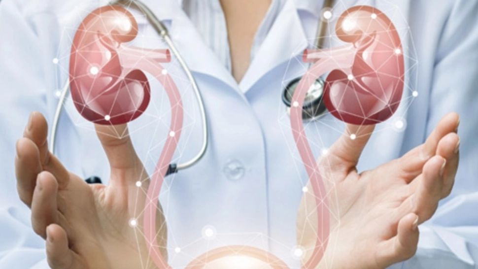 Cancerul de prostată. Dr. Michael Ahmadi, prezent în România: sesiuni de training cu echipa Global Medical Health