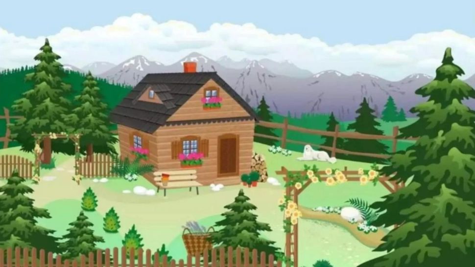 Testul pe care numai cei cu o inteligență peste medie îl rezolvă: găsește URSUL în 5 secunde!