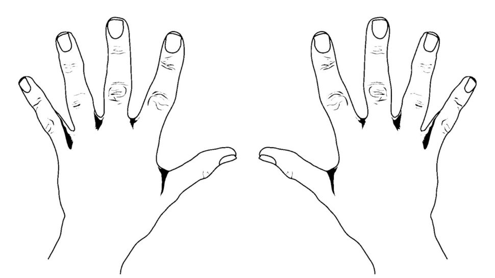  Descoperă ce spune lungimea degetelor tale despre tine conform științei