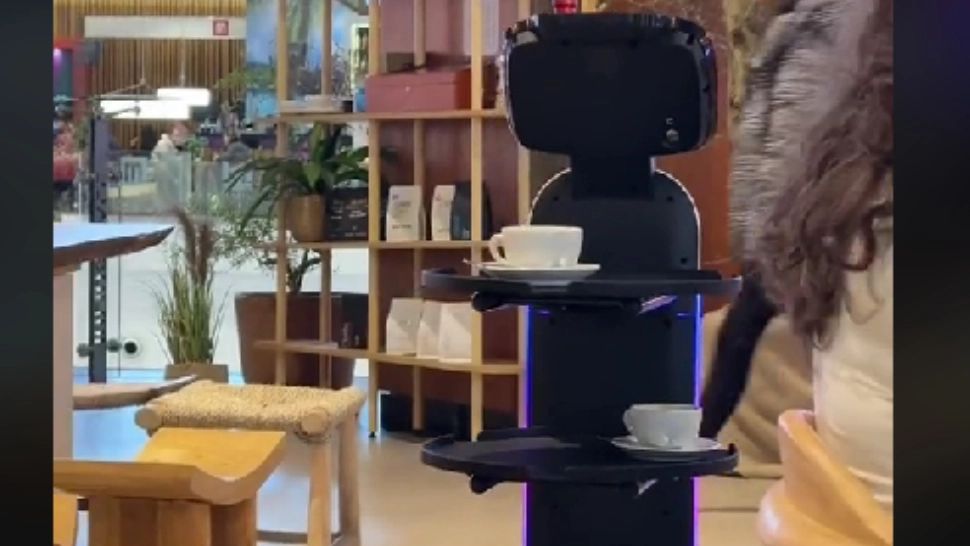 Chelnerilor-roboți într-un restaurant din Cluj. Cât de rentabilă este investiția VIDEO