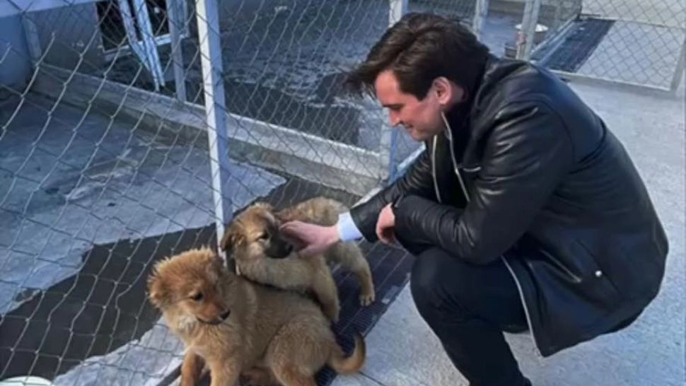 Proiect PNL: bucureștenii din Sectorul 3 pot să își sterilizeze gratuit câinii