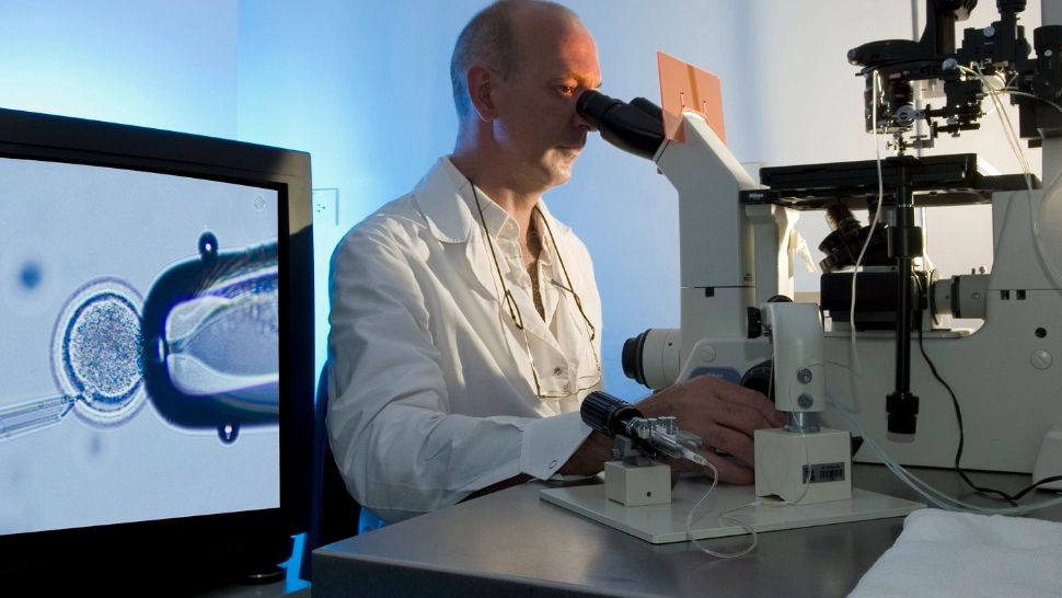 Orez cu celule de carne de vită. Ultima găselniță a cercetătorilor ca să rezolve criza alimentară și protejarea mediului