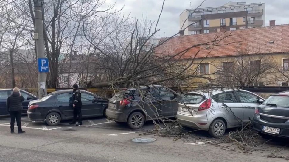 Furtuna a provocat pagube în țară. Copaci rupți, acoperișuri smulse și autoturisme avariate - FOTO