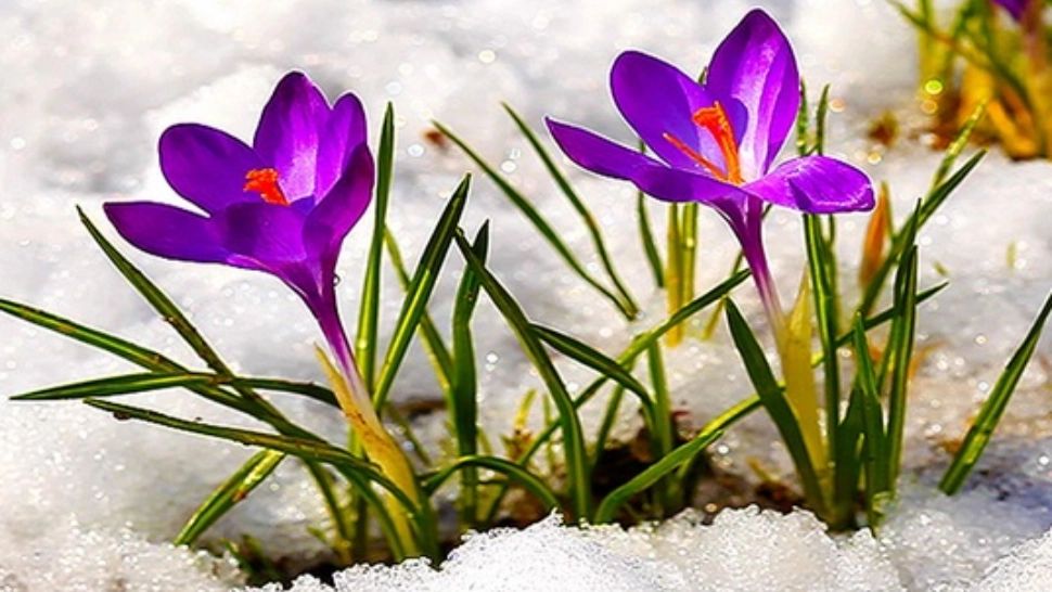 Weekend cu temperaturi de vară, urmat de o schimbare radicală a vremii. Temperaturile medii scad cu 15 grade