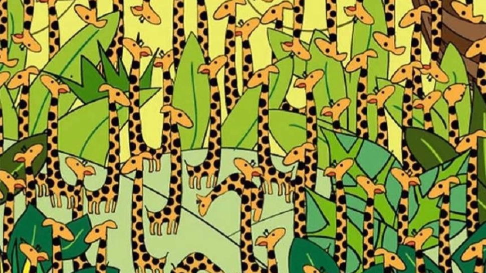 Testul draconic pe care doar cei cu privire  de vultur îl trec. Poți să găsești șarpele ascuns printre girafe în doar 10 secunde?