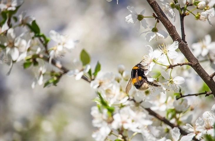 Aer tropical peste România. Temperaturi de peste 25 de grade! Când lovesc ploile - prognoza meteo pe două săptămâni