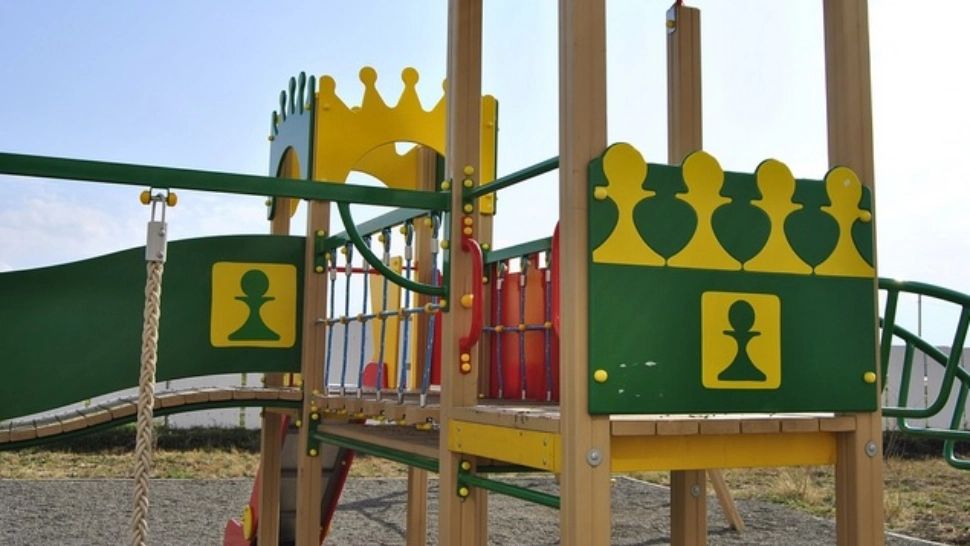 Arbore uriaș, doborât de vânt lângă un loc de joacă, într-un parc din Capitală. Nicușor Dan, reacție halucinantă: Se mai întâmplă! 