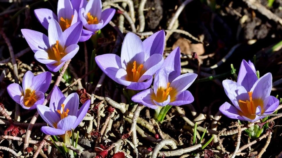 Vreme deosebit de caldă în următoarele zile; temperaturile urcă până la 23 de grade Celsius - ANM