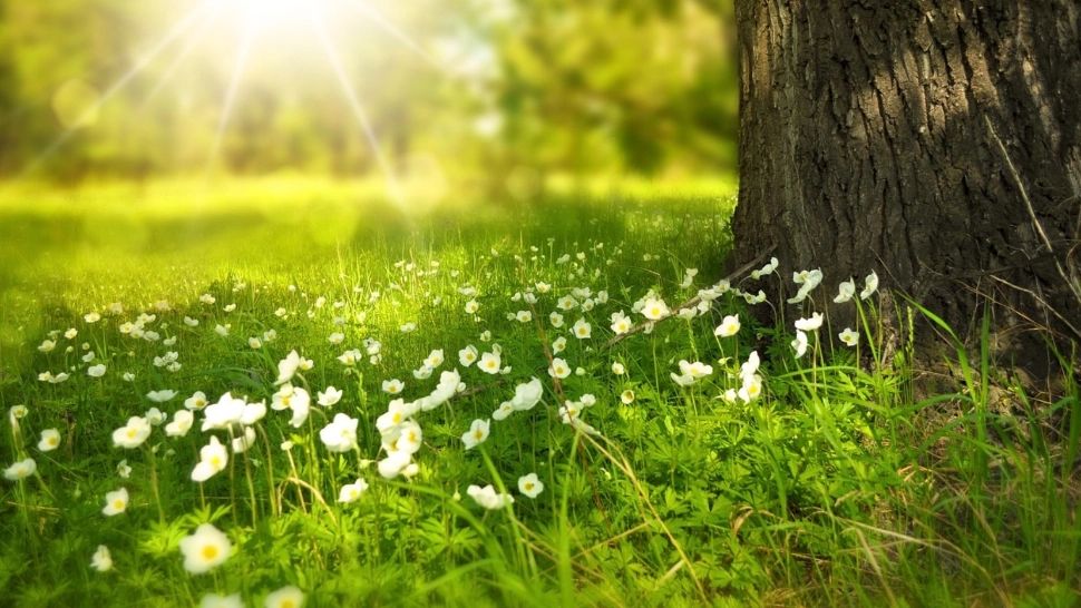 Prognoza meteo de Paște și 1 Mai, Accuweather: ce temperaturi se vor înregistra