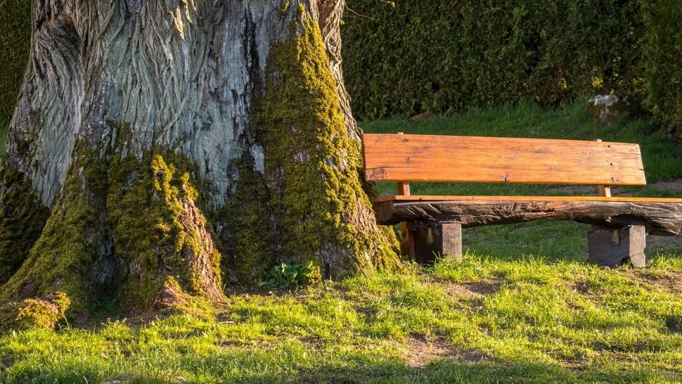 Prognoza meteo 27 februarie. Temperaturi de până la 21 de grade. Zonele afectate de vânt și ploi 