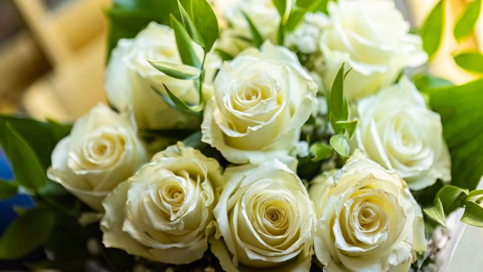 1 Martie se apropie! Ce flori să NU oferi niciodată cadou: simbolistica din spatele lor este înfiorătoare