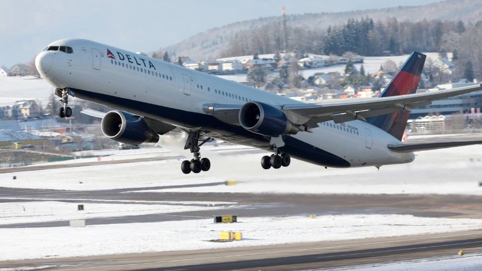 Panică la bordul unei curse Amsterdam-Detroit, după ce niște viermi au căzut pe un pasager, dintr-un bagaj de mână. Incredibil, care era sursa 