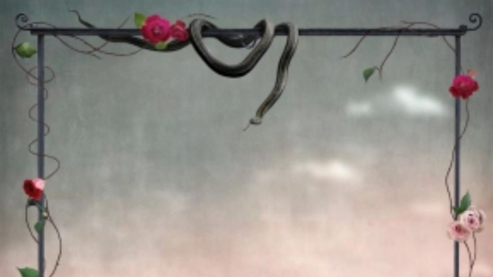 Testul șarpelui - Află cine este cel mai mare dușman al tău, descifrând mesajul subconștientului