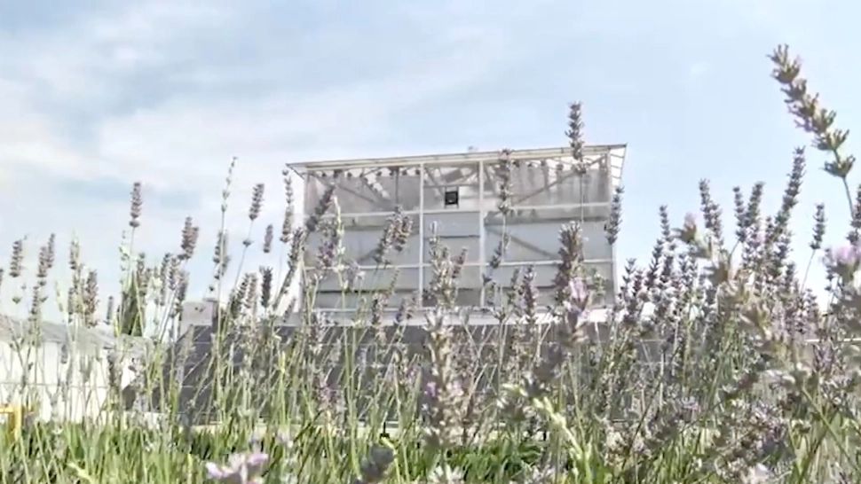 Proiect revoluționar în Buzău: sera verticală care consumă cât un bec, salvarea agricultorilor - FOTO