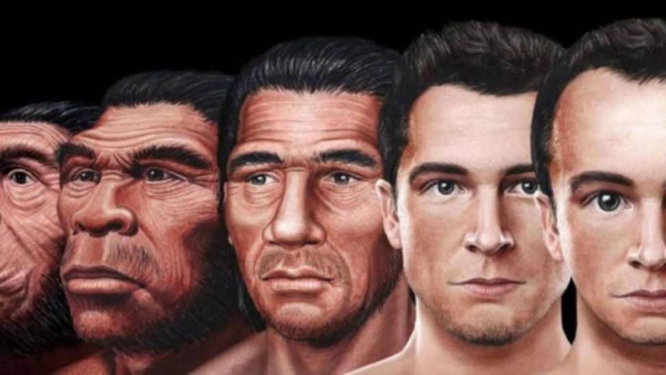 O nouă specie de oameni va apărea în 2050, spun cercetătorii