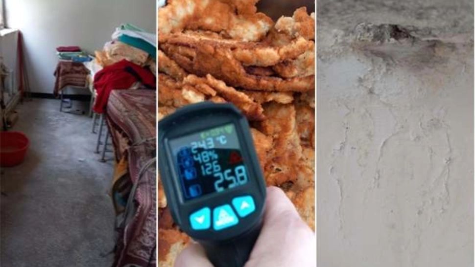 Șoareci și gândaci morți în cantina unui liceu din Timișoara. A fost închisă temporar- VIDEO