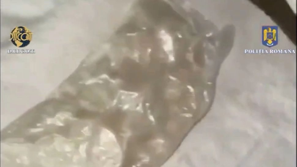 Tânăr prins cu aproximativ două kilograme de droguri asupra sa, în trafic, la Focșani! Poliția l-a reținut VIDEO