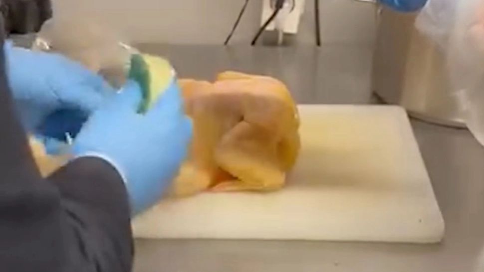 Revoltă națională după scandalul PUIULUI VOPSIT! Oamenii sunt indignați: Nu e normal să le dea cu vopsea și pe urmă să ni-i vândă nouă