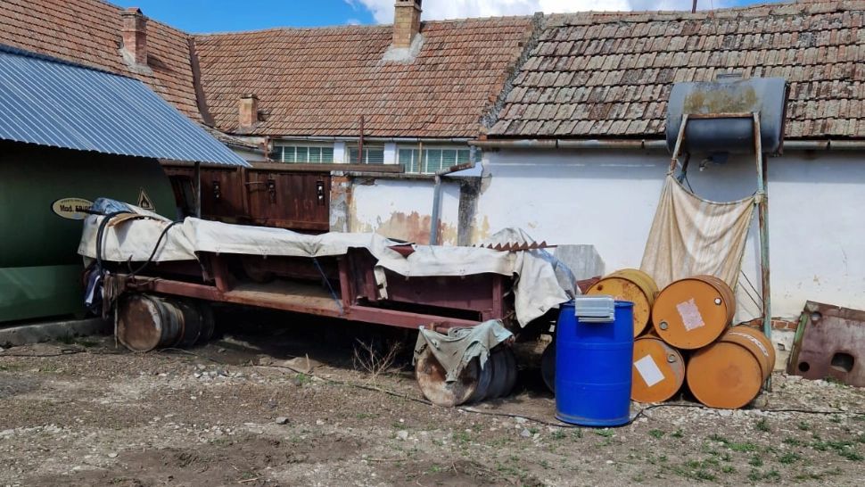 Cazul animalelor găsite moarte pe câmp, între Arad şi Timiş. Activitatea a 3 agenți economici, interzisă: neregulile descoperite de Garda de Mediu