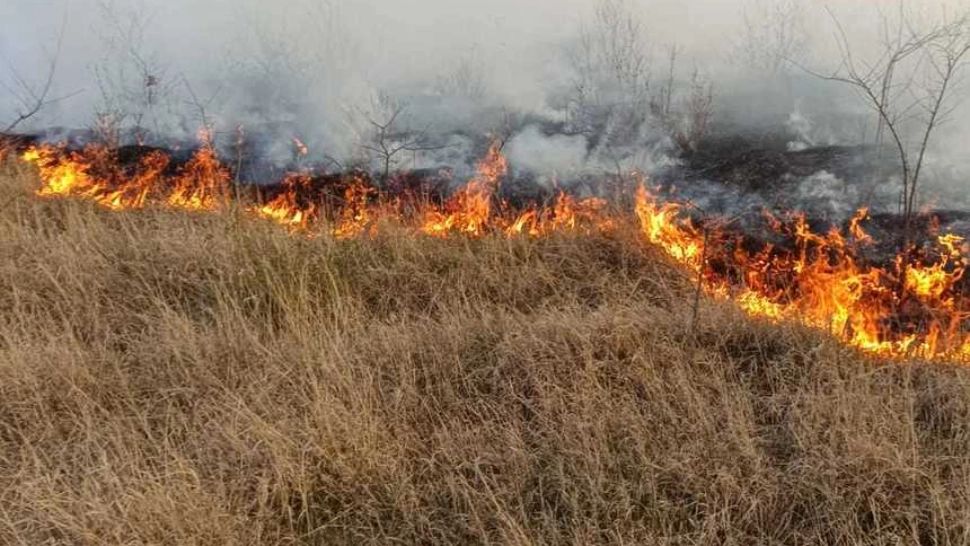 Incendiu devastator într-o pădure din Prahova. Pompierii, nevoiți să meargă un kilometru pe jos pentru a ajunge la zona afectată