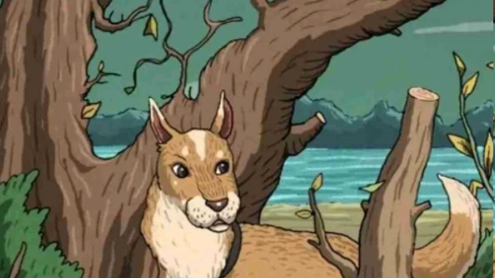 Atenția la detalii este punctul tău forte? Ești un geniu dacă poți găsi pisica ascunsă în această imagine