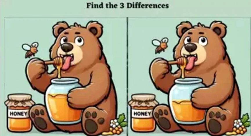 Testul ursulețului pofticios. Testează-ți spiritul de observație și descoperă cele 3 diferenţe esențiale: în cât timp reușești