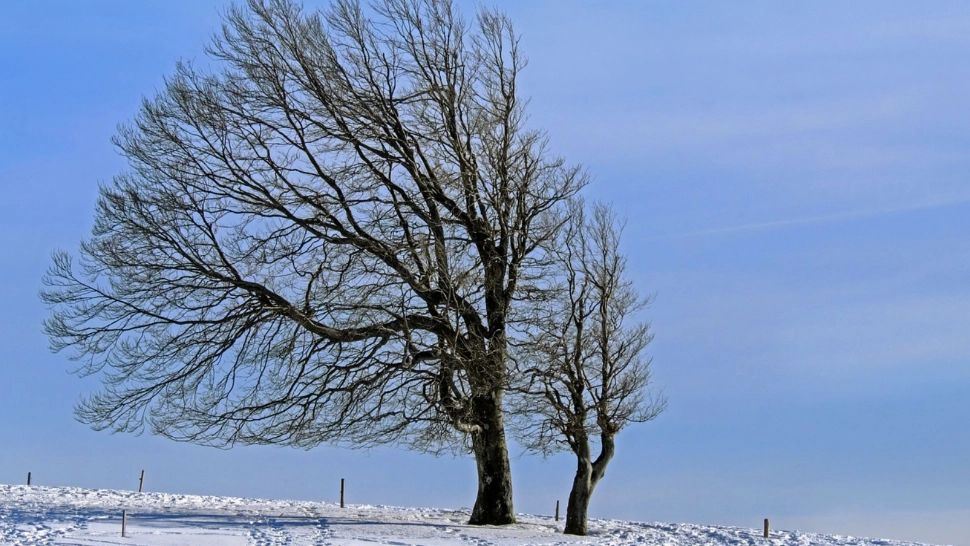 Prognoza Accuweather pe 3 luni: vreme capricioasă în toată țara. Se întorc ninsorile, temperaturile scad dramatic
