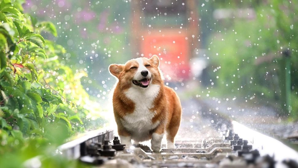 Prognoza meteo, duminică 17 martie. O zi cu ploi slabe și cer înnorat. Frigul își va face simțită prezența