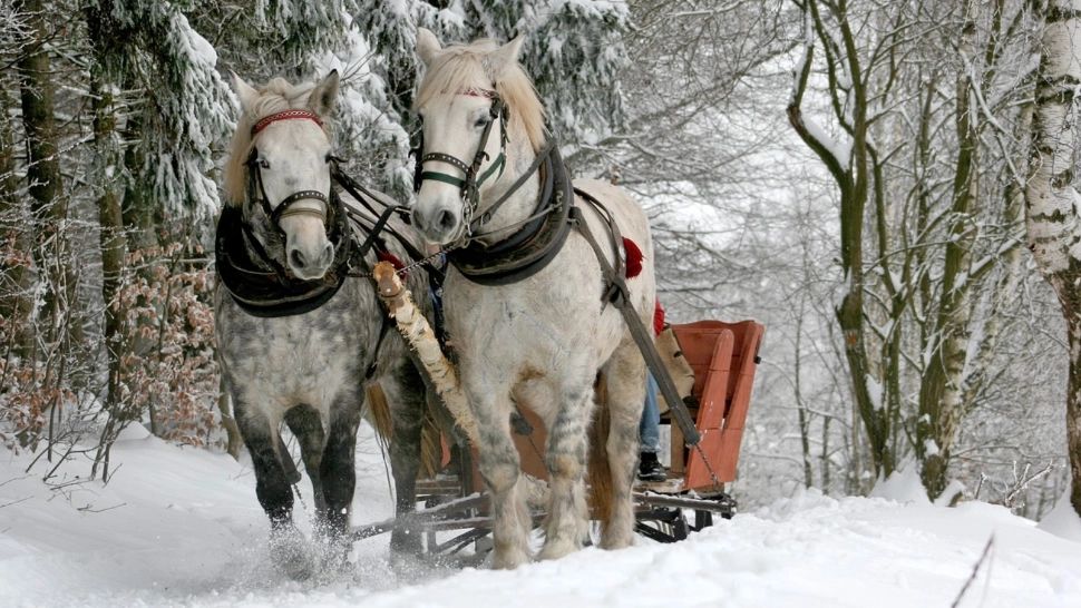 Un nou episod de iarnă extremă în România: ninsorile revin în forță 