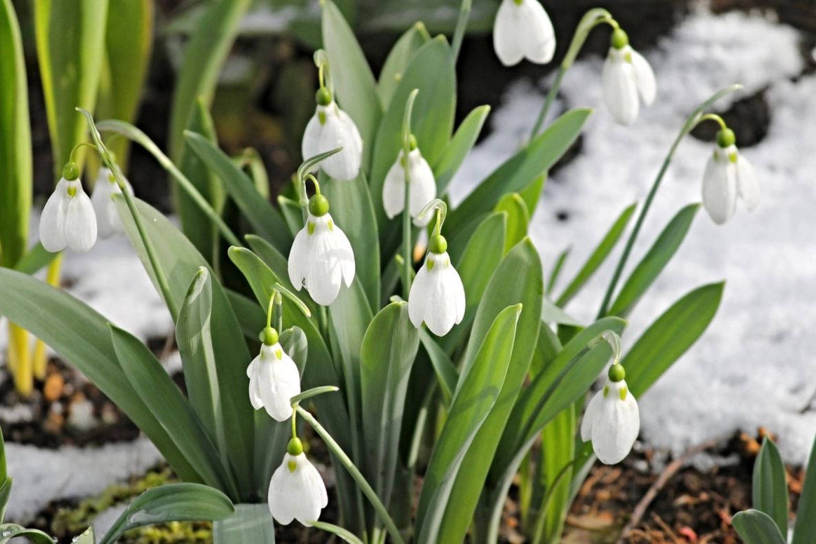 Schimbări nefirești ale vremii: alternanțe periculoase - temperaturile scad periculos. Directorul ANM explică noua prognoză