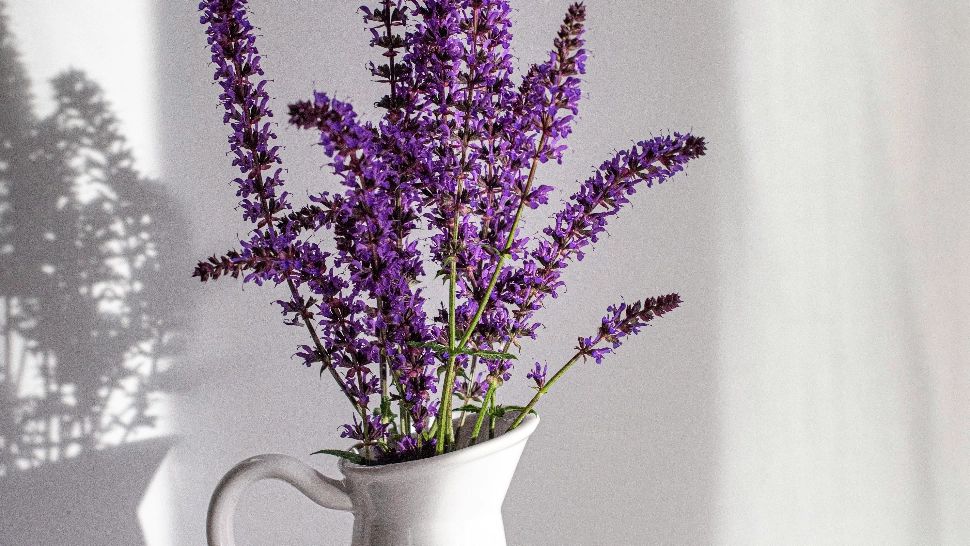 Patru metode pentru a-ți parfuma natural locuința! Suntem extrem de simple, iar rezultatul te va uimi