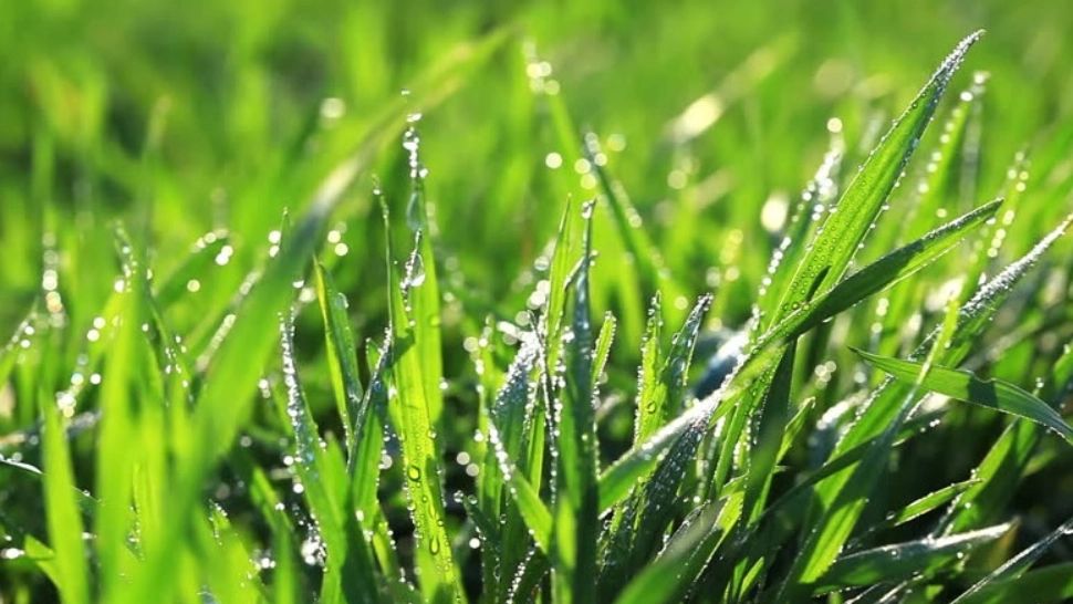 Prognoza meteo 29 martie. Temperaturi de până la 24 de grade Celsius. Zonele afectate de instabilitate atmosferică