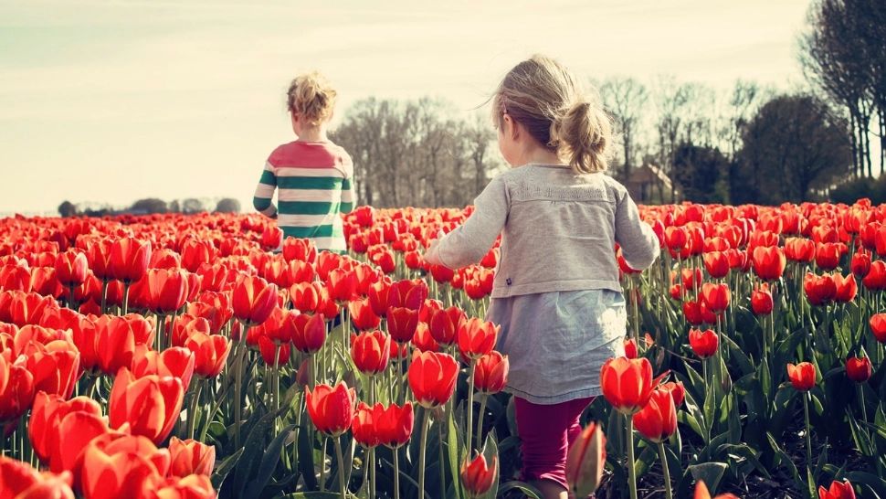 Prognoza meteo pe o lună. Când lovește valul de căldură: temperaturile cresc brusc. Cum va fi vremea până pe 15 aprilie 