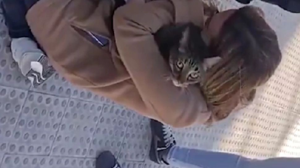 Motanul Coco a confirmat că pisica are 9 vieți. A fost salvat în a 8-a zi după incendiul devastator de la Valencia