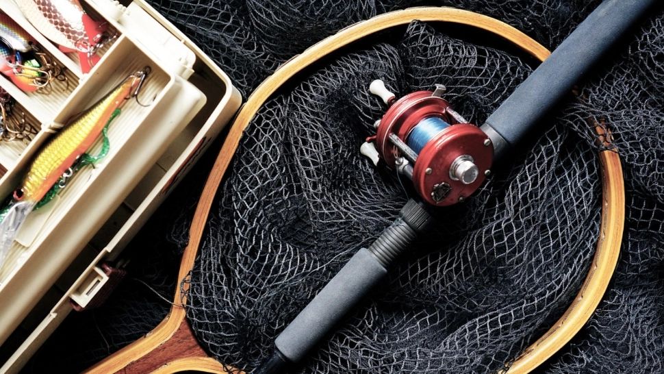 Turiști străini, răniți în timp ce pescuiau în Deltă: un copac s-a prăbușit peste barcă