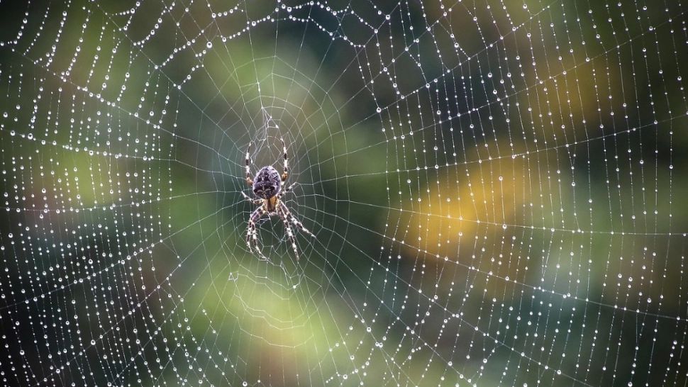 Prognoza meteo 25 martie. Răcire accentuată a vremii, ploi și ninsori. Zonele afectate de fenomene periculoase 